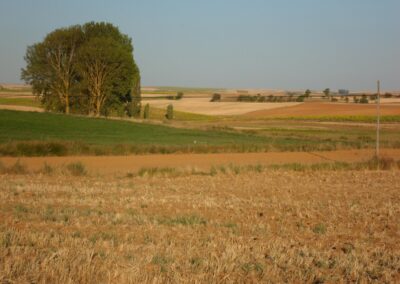 Casa rural El Teléfono